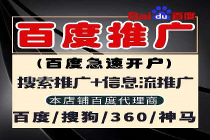 突破传统：专业SEM托管在中小企业中的运用